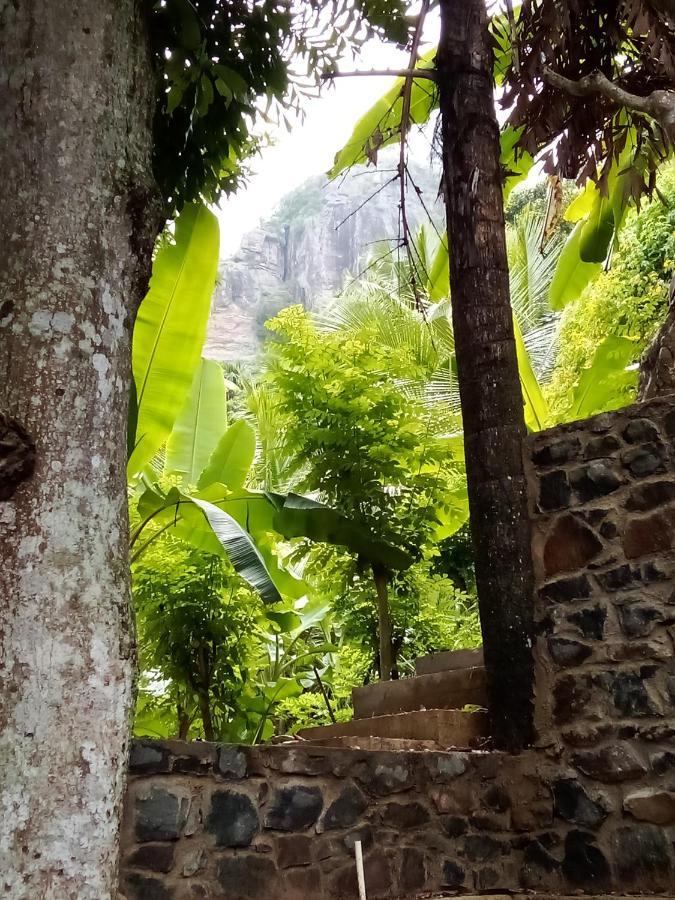 Forest Rawana Homestay Ella Eksteriør billede